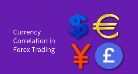 Currency correlation in forex trading newtomarkets.com