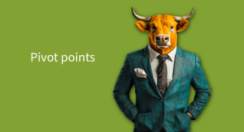 Pivot points newtomarkets.com