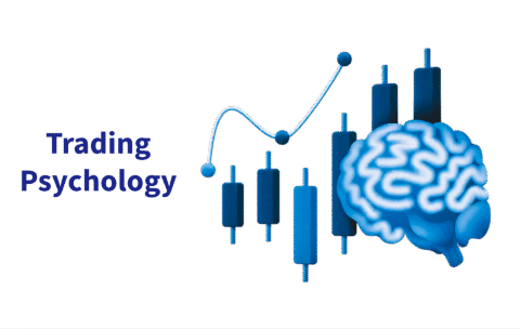 Untitled - 2025-08-31T122043.009