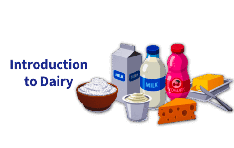 Untitled - 2025-08-31T133839.948