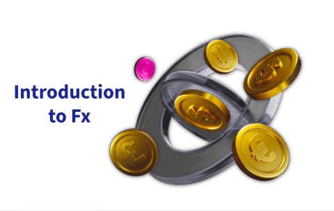 Untitled - 2025-08-31T134458.901