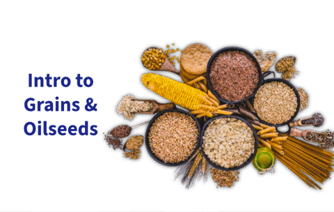 Untitled - 2025-08-31T163247.209