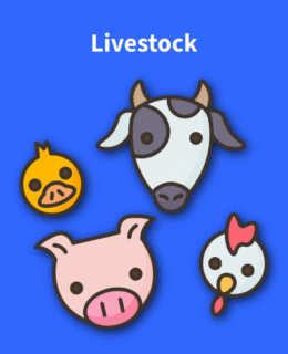 Untitled - 2025-09-01T115407.929