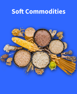 Untitled - 2025-09-01T120616.448