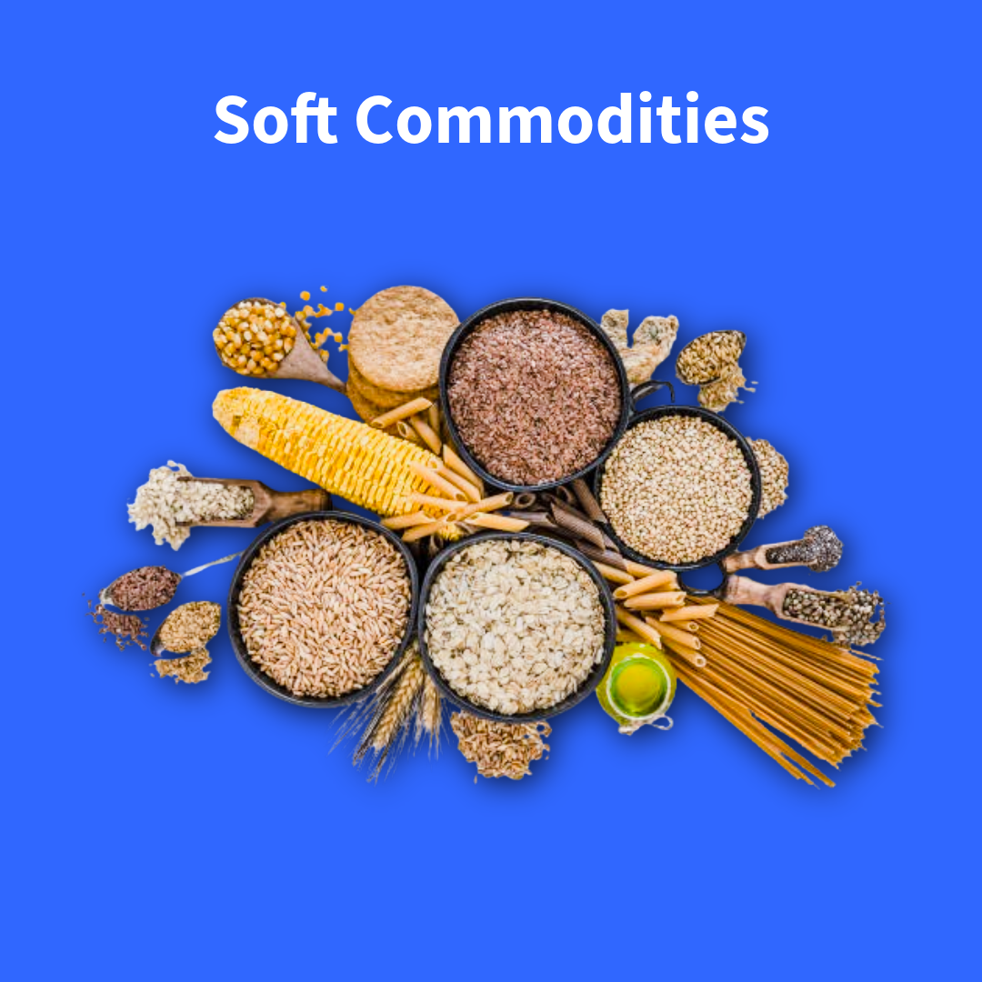 Untitled - 2025-09-01T120616.448