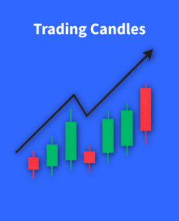 Untitled - 2025-09-01T121209.392