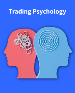 Untitled - 2025-09-01T122159.088