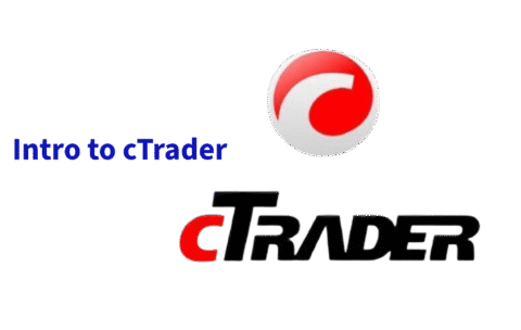 Untitled - 2025-09-01T143547.613