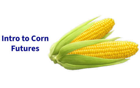 Untitled - 2025-09-01T205112.228