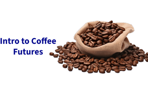 Untitled - 2025-09-01T214508.235