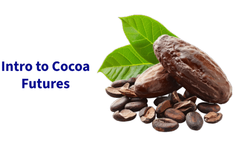 Untitled - 2025-09-01T220051.784