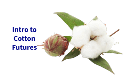 Untitled - 2025-09-01T222638.369