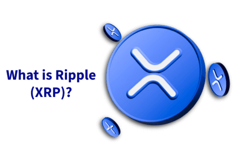 Untitled - 2025-09-03T112559.694