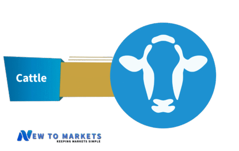 dow jones 30 futures todaymarkets.com (43)